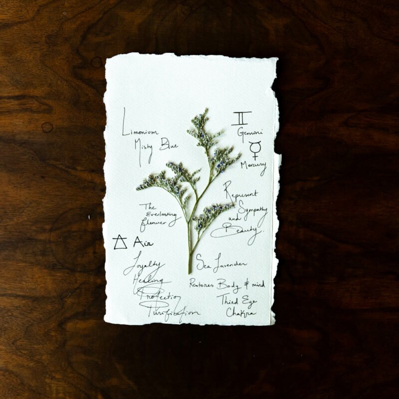 Charte Florale « Limonium »
