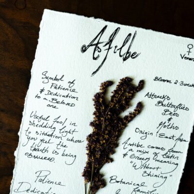 Floral Chart « Astilbe »