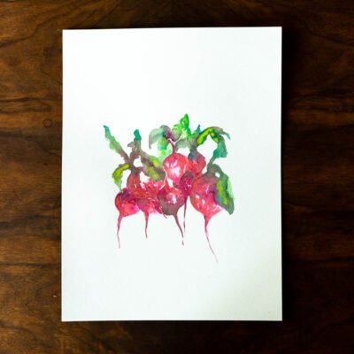 Illustration botanique aquarelle «Radis»