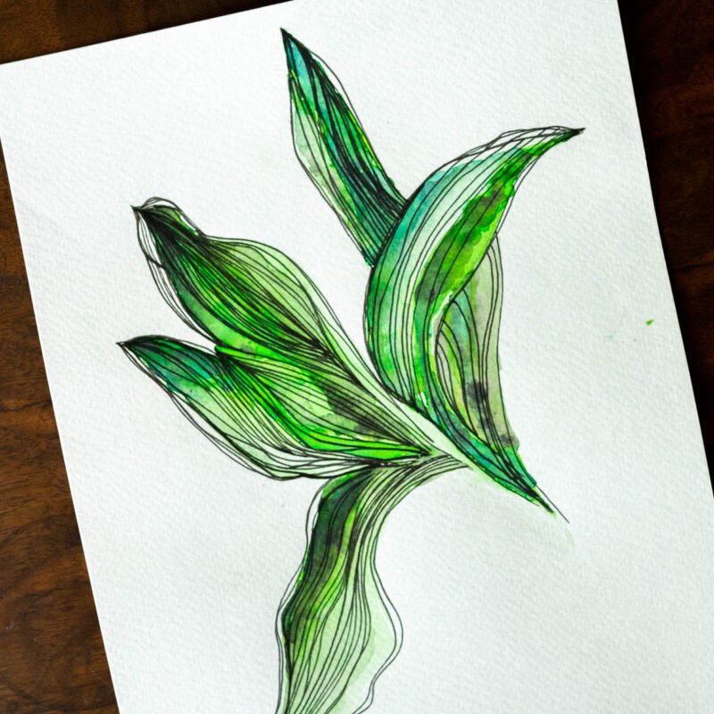 Illustration botanique aquarelle «Plus de vert dans mon bouquet »