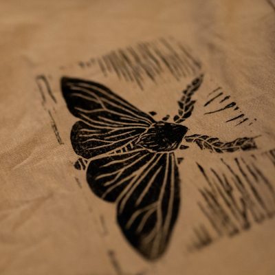 Chandail Sable «Le papillon de nuit»