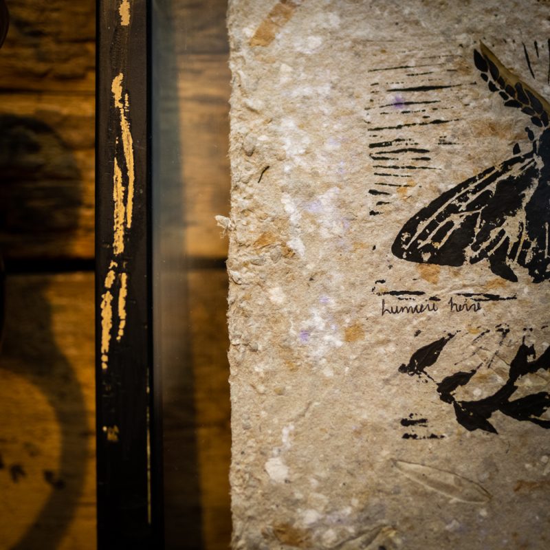 Papillon de nuit - Impression Linogravure – Image 5