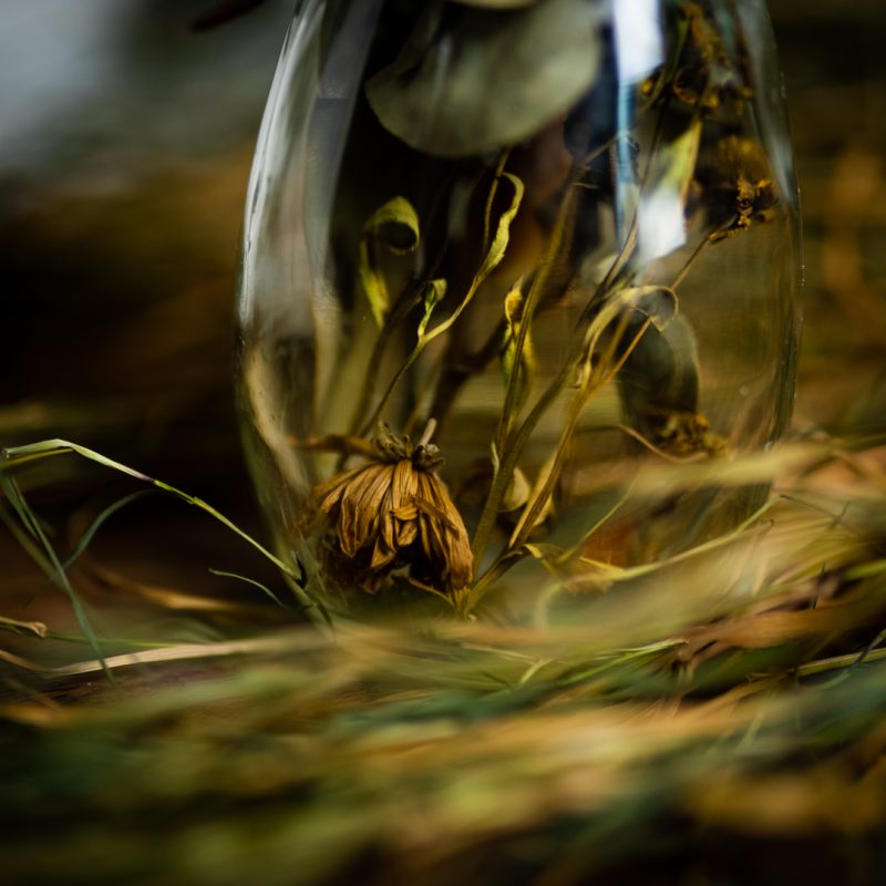 Protection and Purification - Spell Bottle - Image 2
