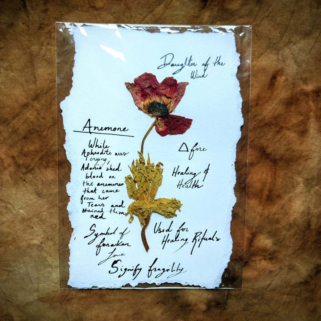 Charte Florale – Image 26