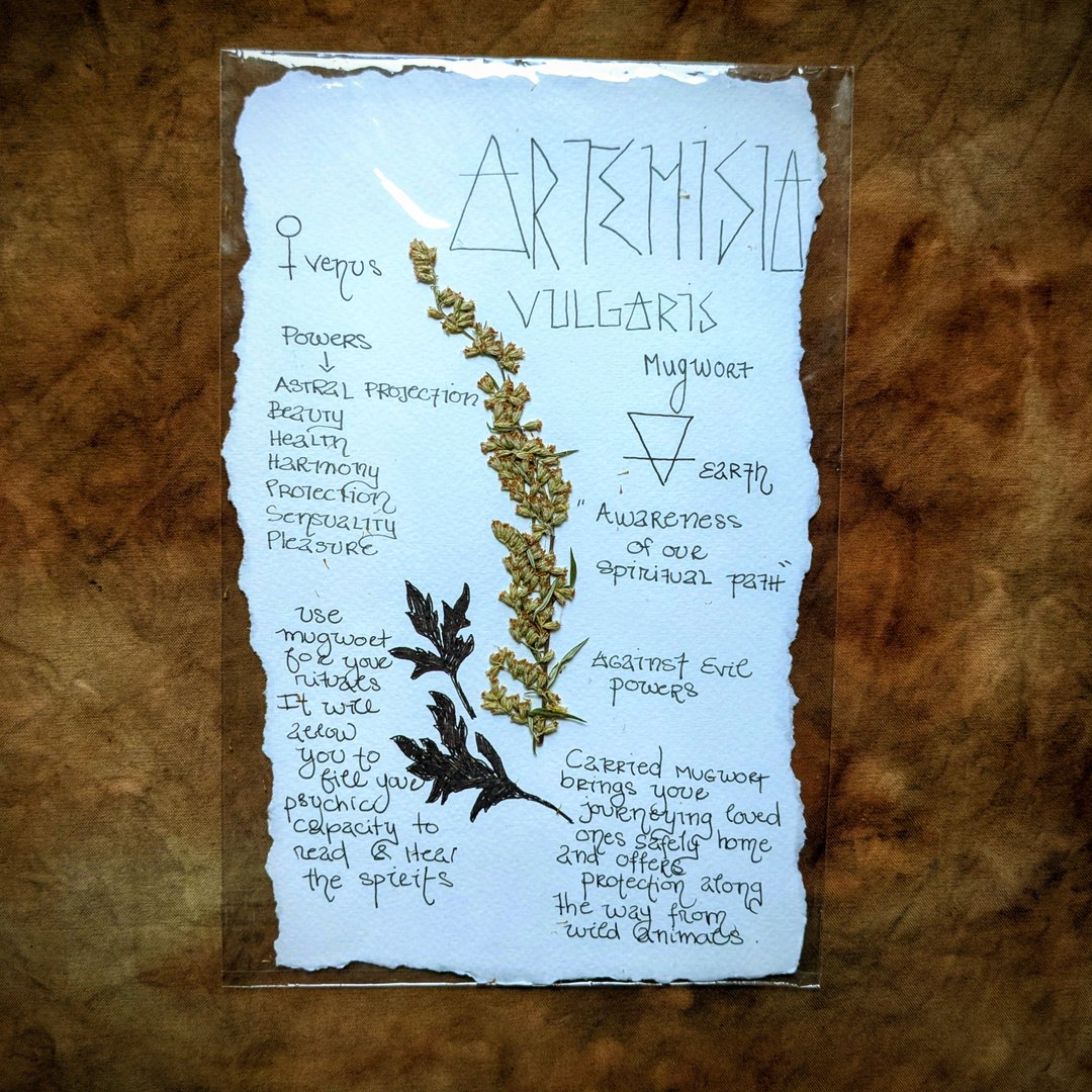 Charte Florale – Image 25