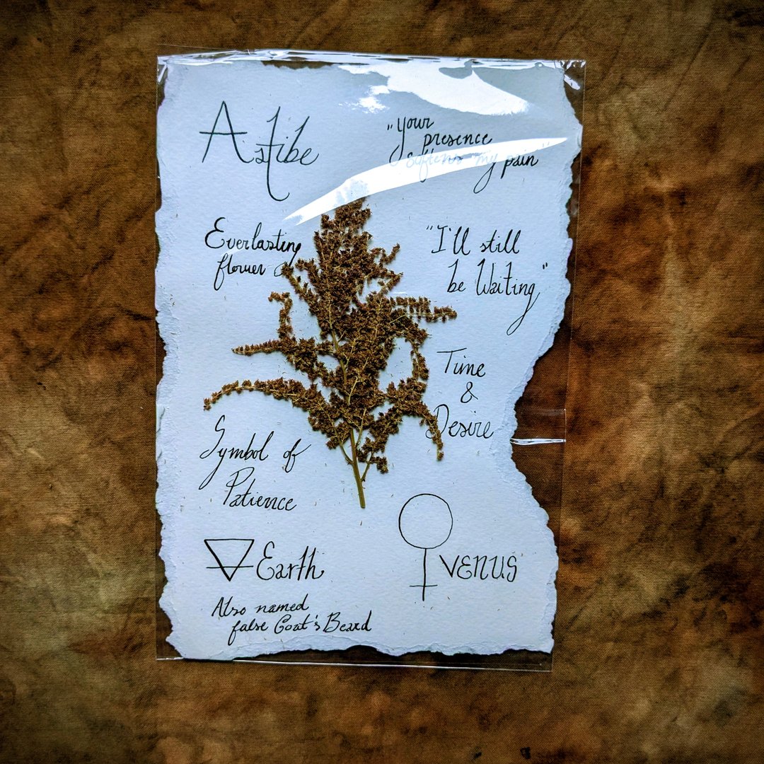 Charte Florale – Image 24