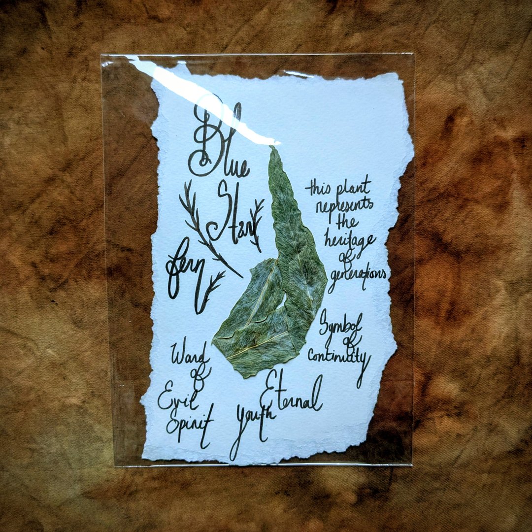 Charte Florale – Image 23