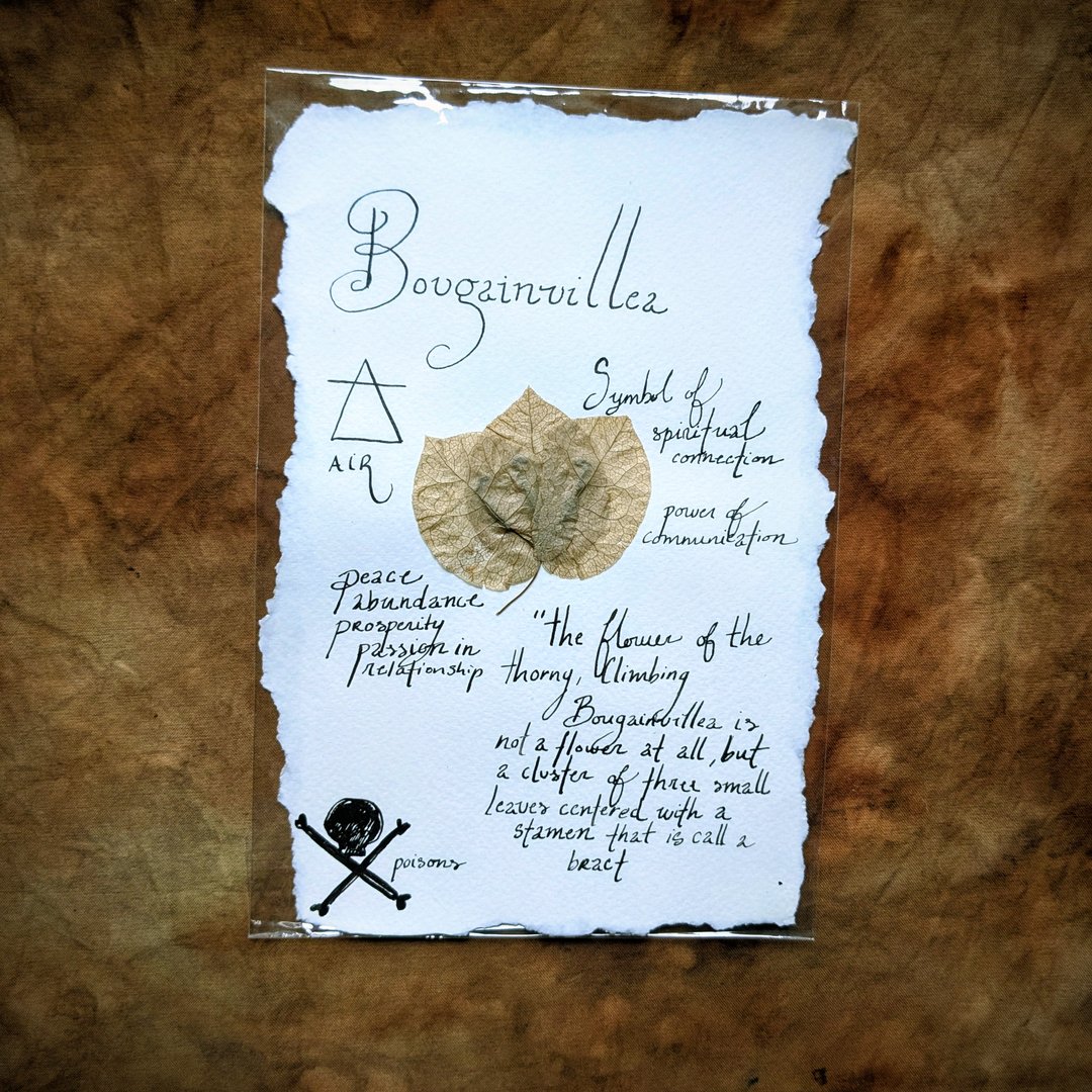 Charte Florale – Image 18