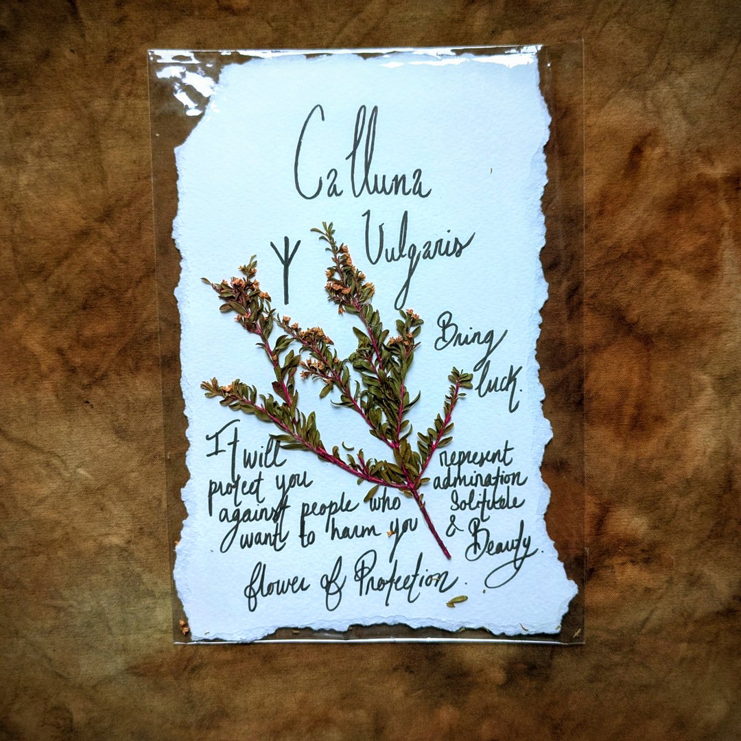 Charte Florale – Image 19