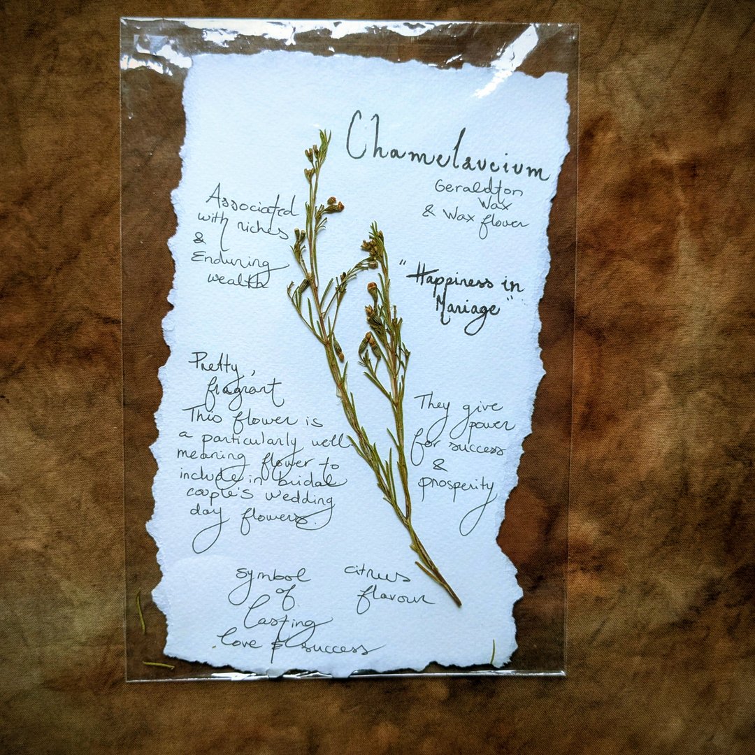 Charte Florale – Image 20