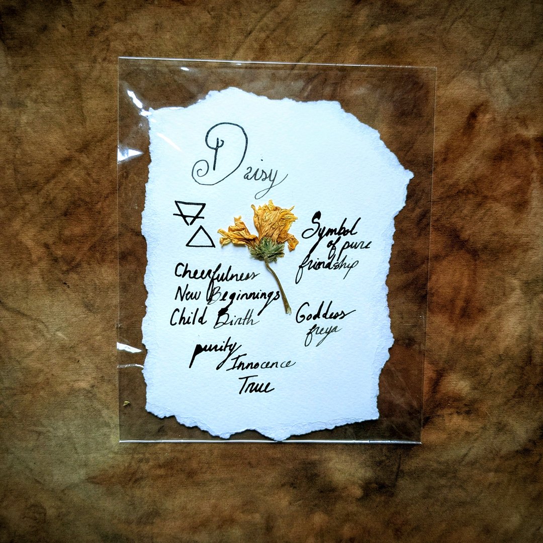 Charte Florale – Image 21