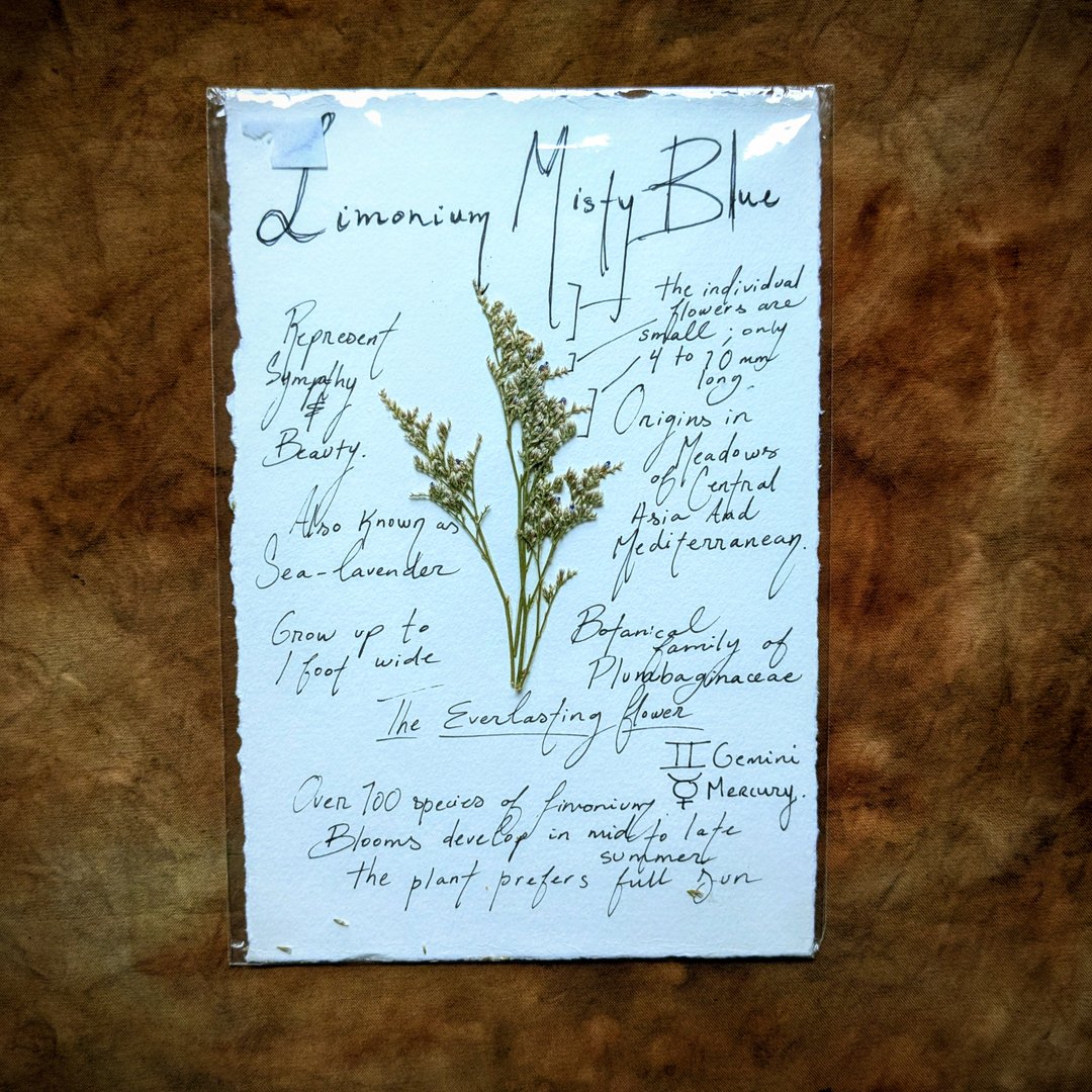 Charte Florale – Image 11