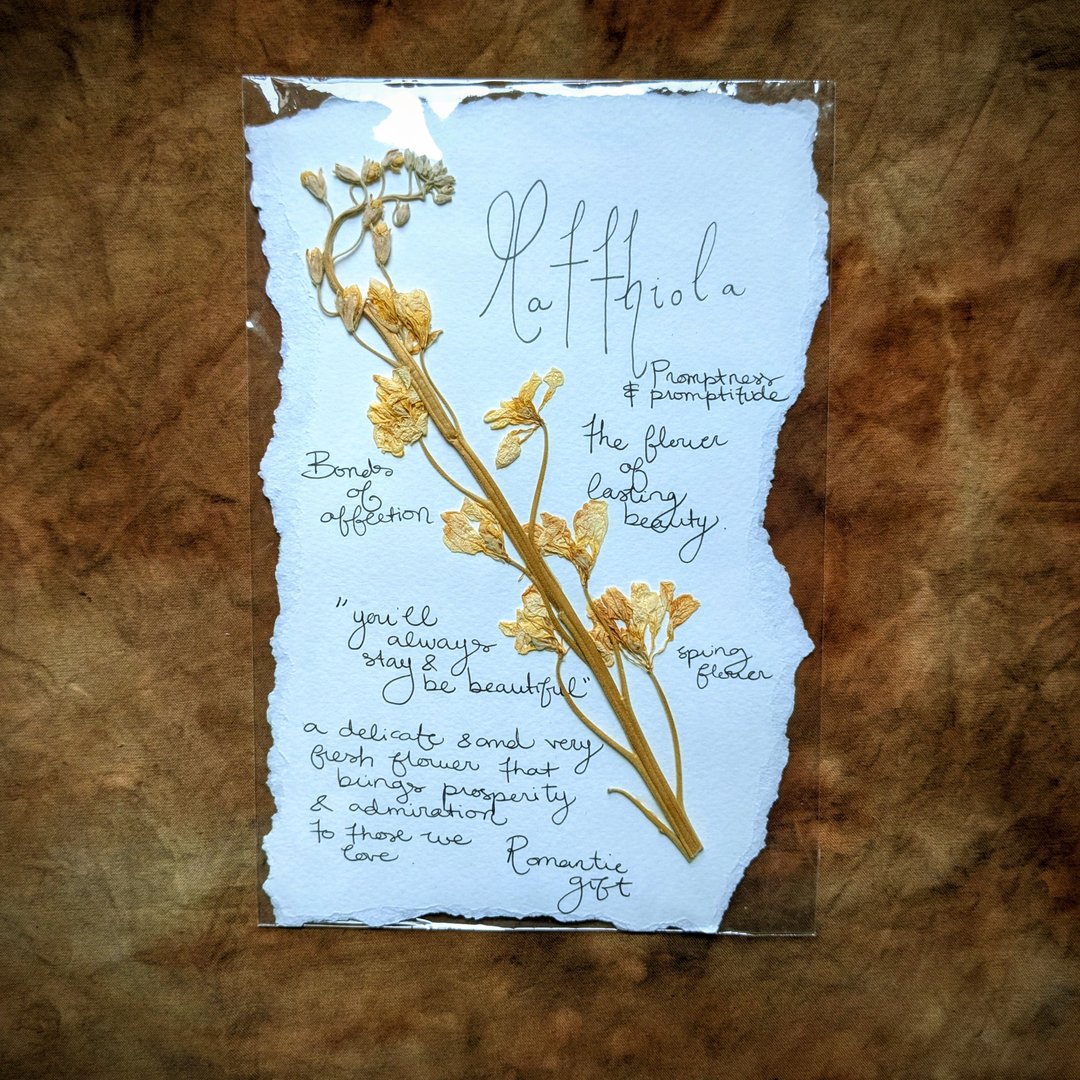 Charte Florale – Image 12