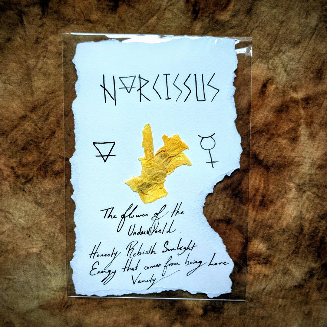 Charte Florale – Image 13