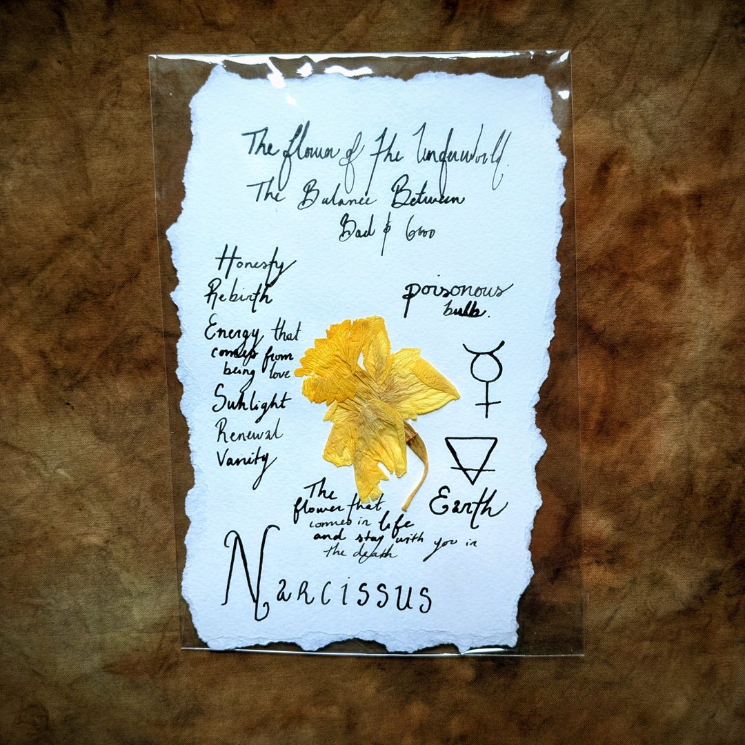 Charte Florale – Image 22