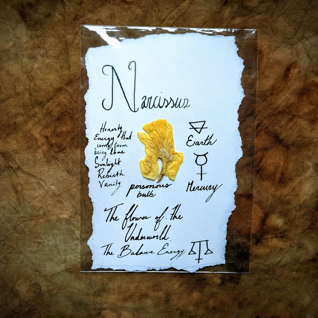 Charte Florale – Image 17