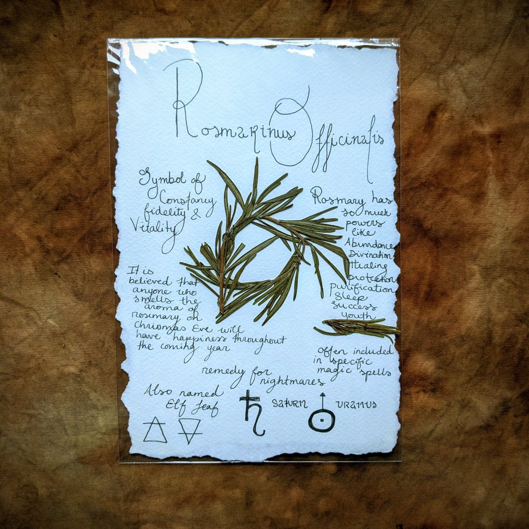 Charte Florale – Image 16