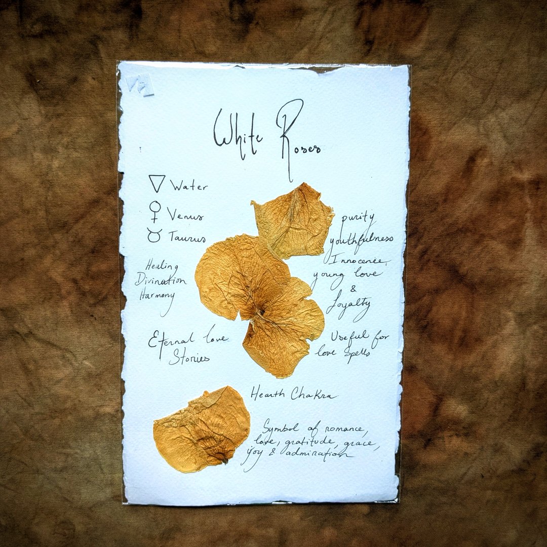 Charte Florale – Image 14