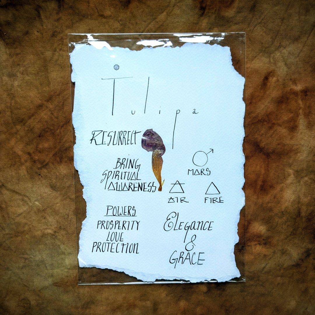 Charte Florale – Image 10