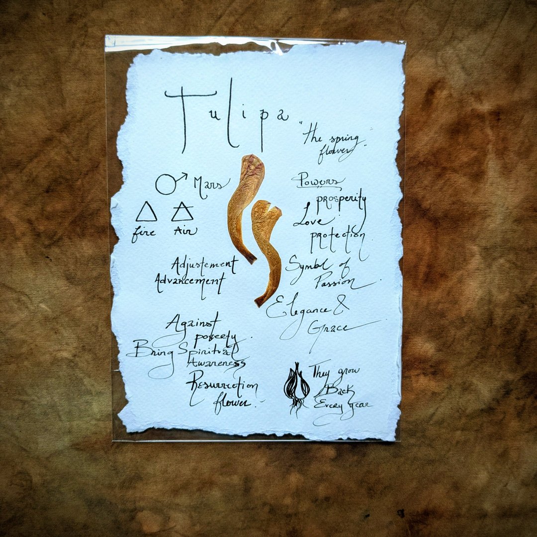 Charte Florale – Image 9