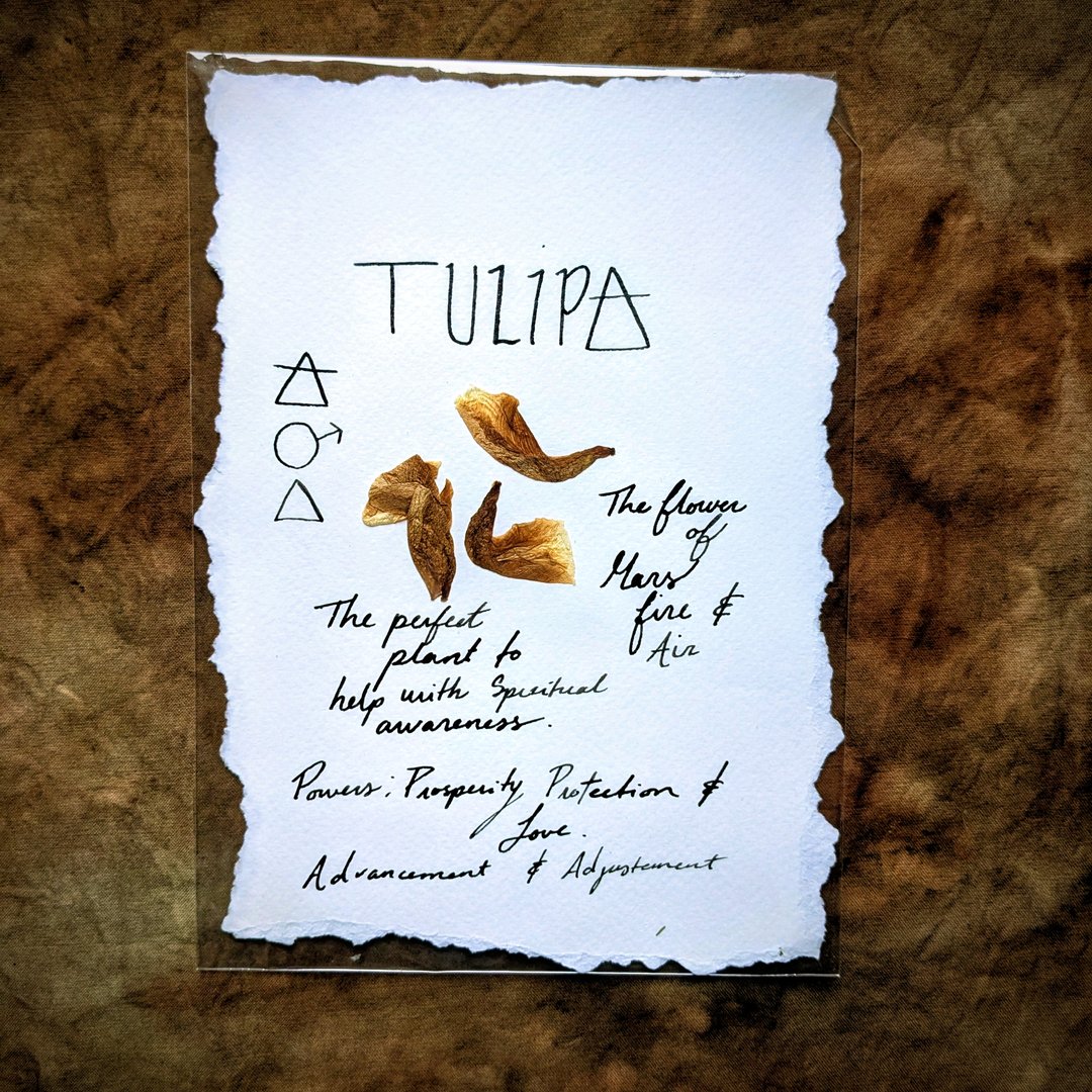 Charte Florale – Image 8