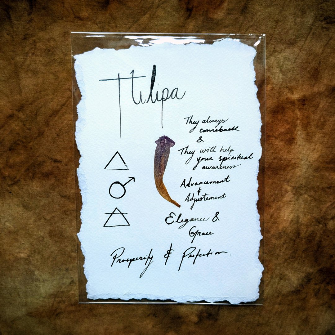 Charte Florale – Image 7